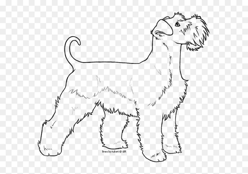 Miniature Schnauzer Line Drawing, HD Png Download - schnauzer png