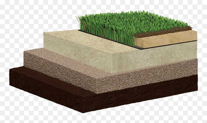 Hats Benefits - Hedge, HD Png Download - turf png