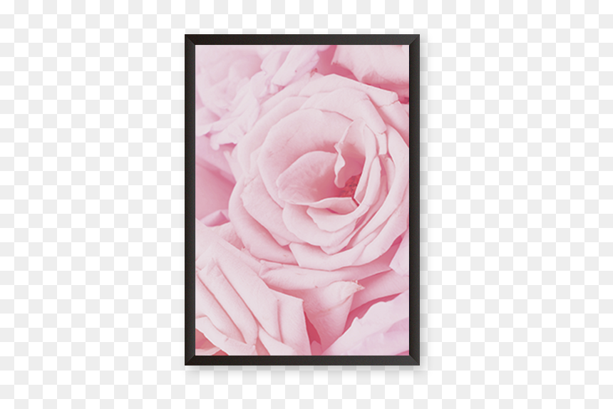 Rose, HD Png Download - black rose petals png