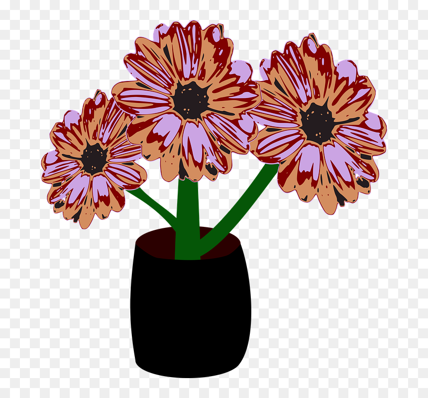 Flowers, Roses, Black, Vase - African Daisy, HD Png Download - black rose petals png