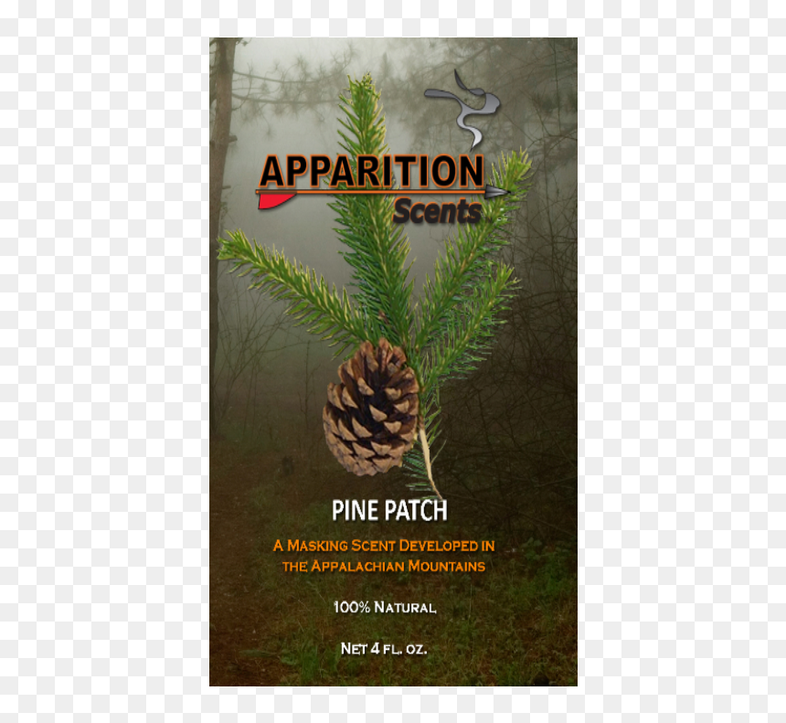 Poster, HD Png Download - pine needles png