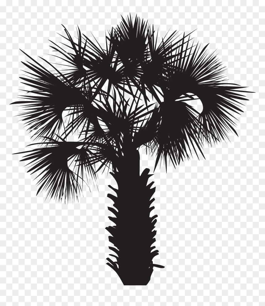 Palm Tree Silhouette Png, Transparent Png - palm tree silhouette png