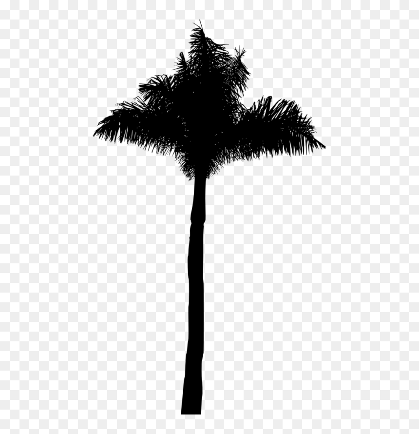 Attalea Speciosa, HD Png Download - palm tree silhouette png