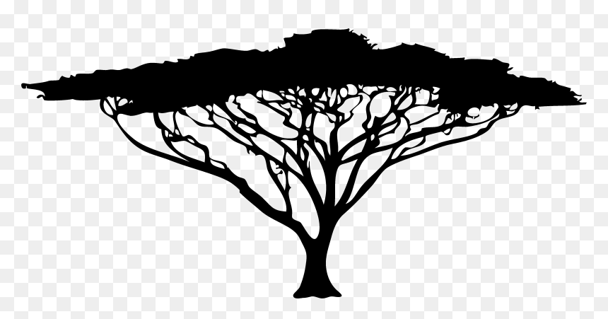 African Tree Drawing, HD Png Download - palm tree silhouette png