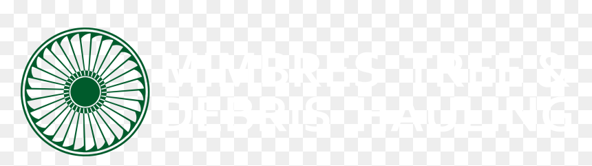 Quickie Pickie, HD Png Download - debris png
