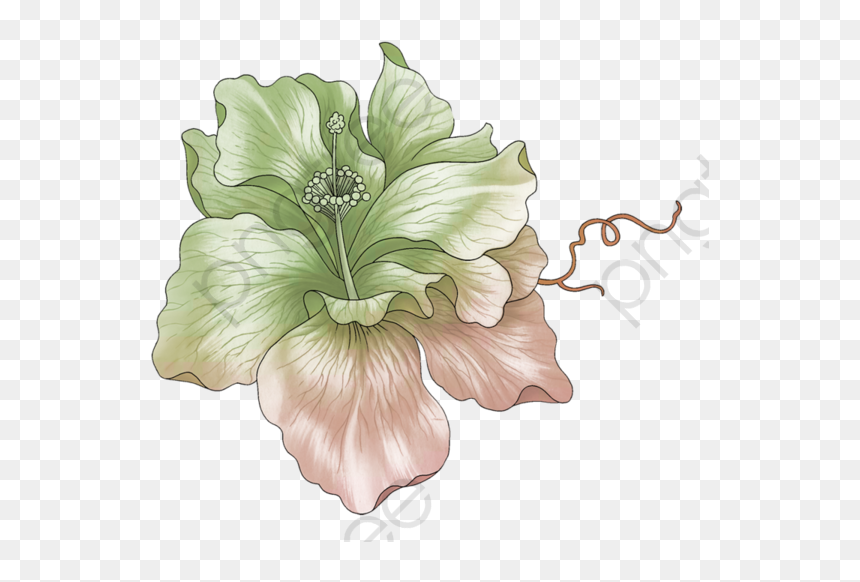 احسنوا النوايا فعليها ترزقون, HD Png Download - hibiscus png