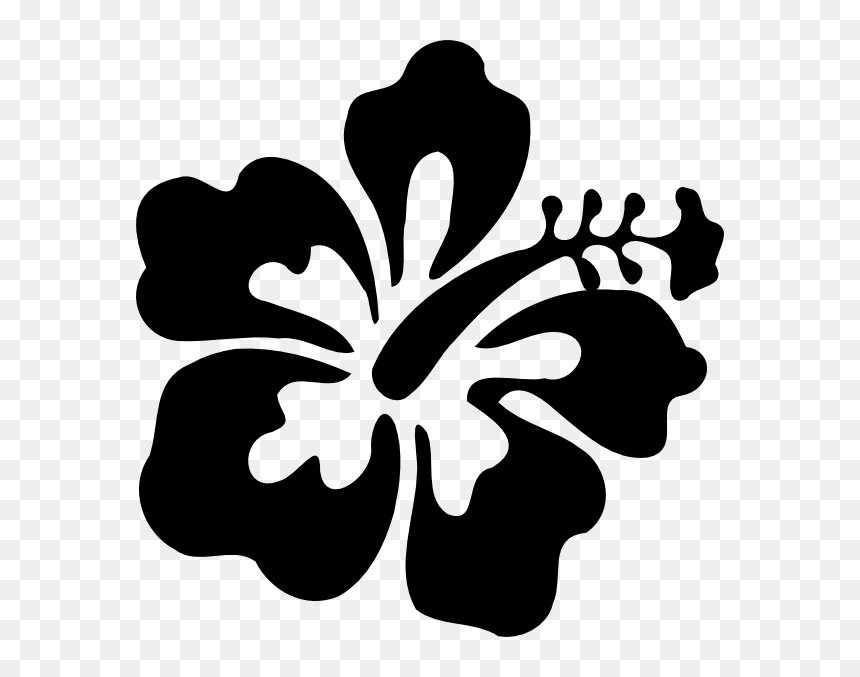 Hibiscus Black And White, HD Png Download - hibiscus png