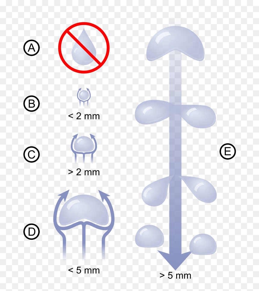 Forme D Une Goutte D Eau, HD Png Download - raindrop png
