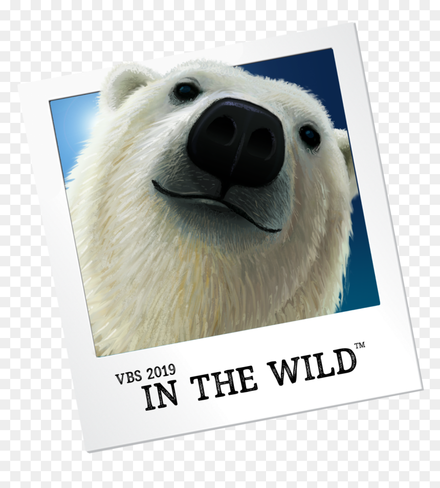 Vbs In The Wild 2019, HD Png Download - polar bear png
