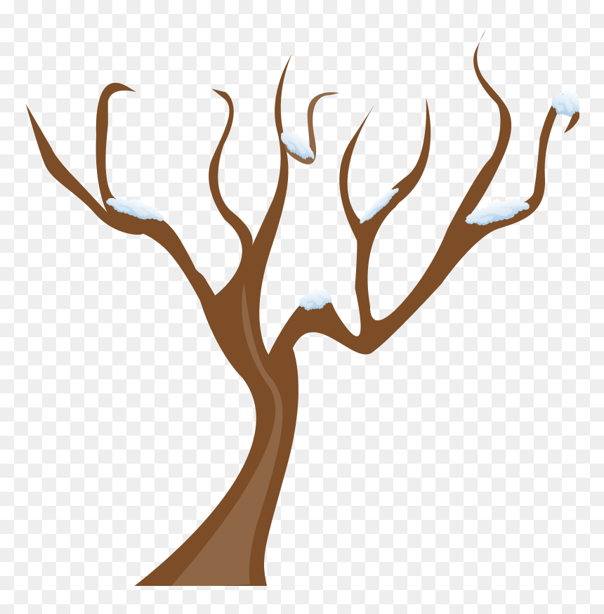 Trees Without Leaves Clipart, HD Png Download - tree clipart png