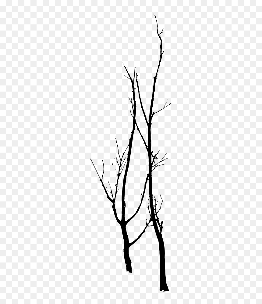 Twig, HD Png Download - dead tree png