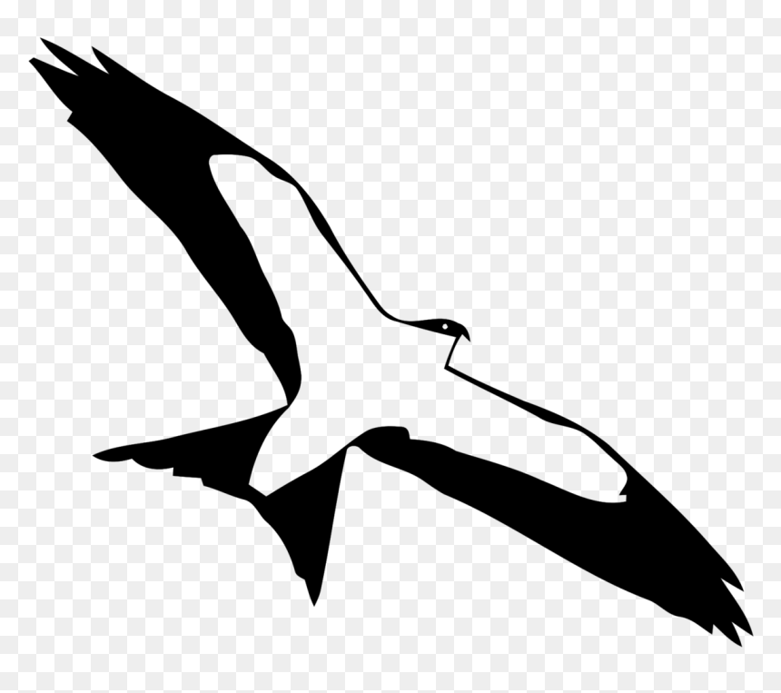 White Stork, HD Png Download - animal png