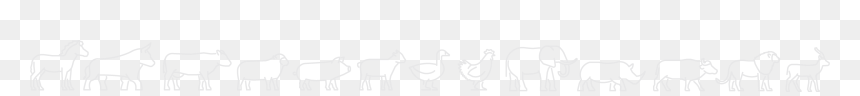Duck, HD Png Download - animal png