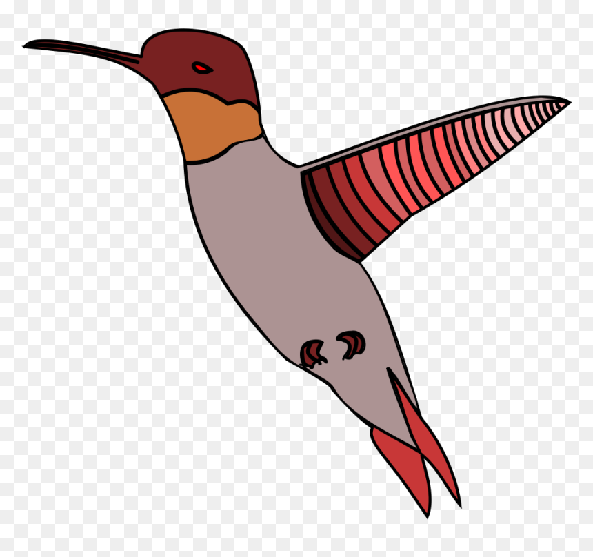 Ruby-throated Hummingbird, HD Png Download - birds flying png