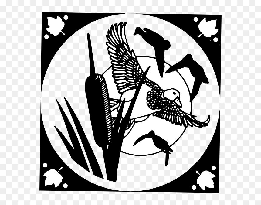 Illustration, HD Png Download - birds flying png