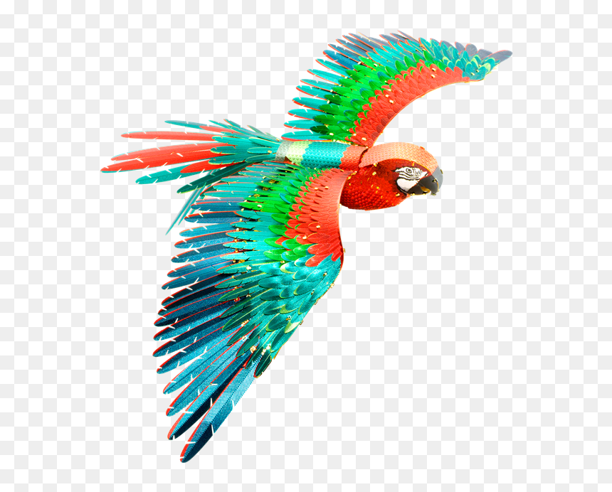 Metal Earth Macaw, HD Png Download - parrot png