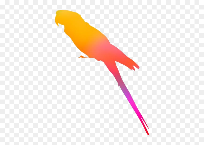 Parrot, HD Png Download - parrot png