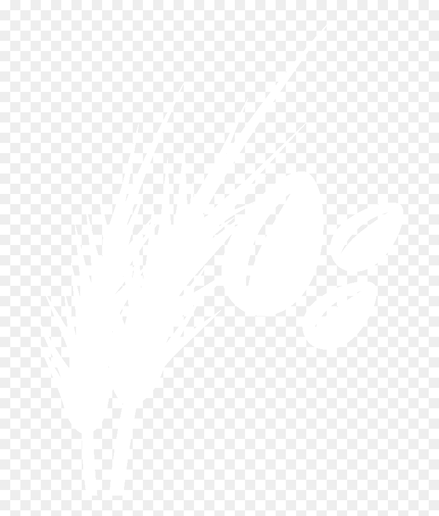 Black And White, HD Png Download - doves png
