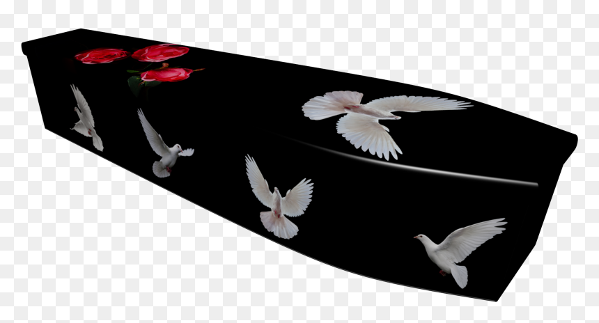 Pigeons And Doves, HD Png Download - doves png