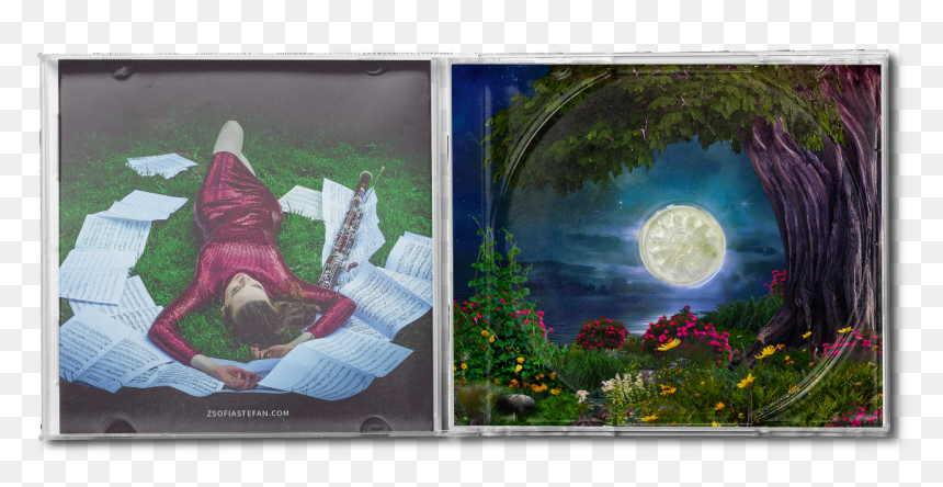 Picture Frame, HD Png Download - bassoon png
