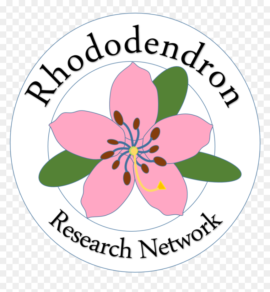 Efficient Time Management, HD Png Download - rhododendron png