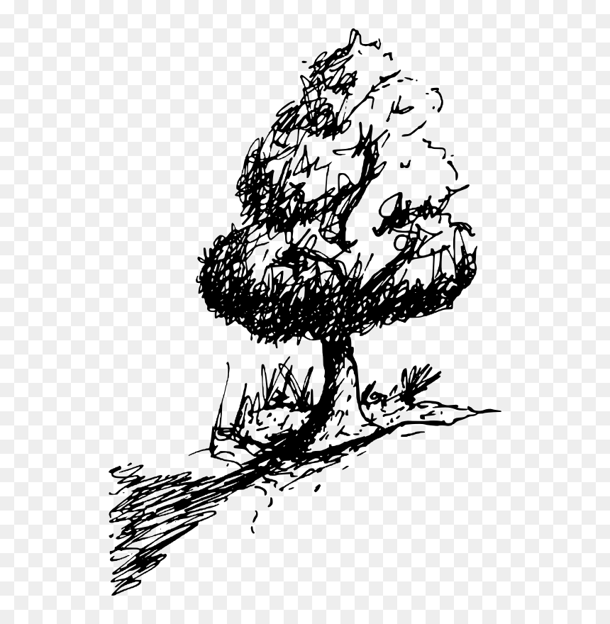 Tree - Illustration, HD Png Download - outdoors png