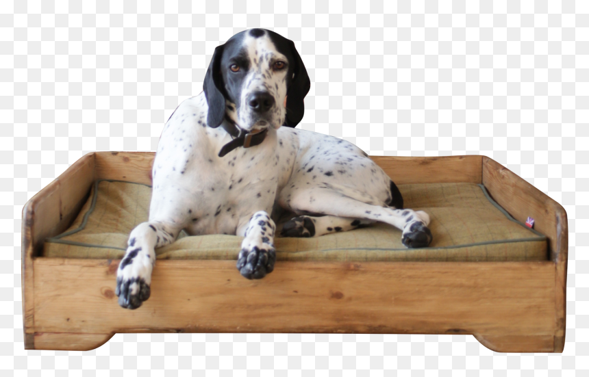 Handmade - Wooden - Dog Bed - Hunt And Wilson - Dog - Dog Yawns, HD Png Download - dog bed png