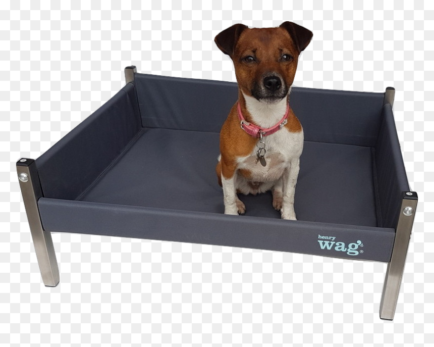 Voltage Regulator, HD Png Download - dog bed png