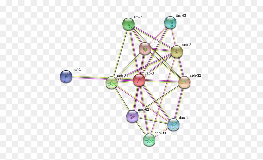 Vab-3 Protein - Circle, HD Png Download - mal descendants png