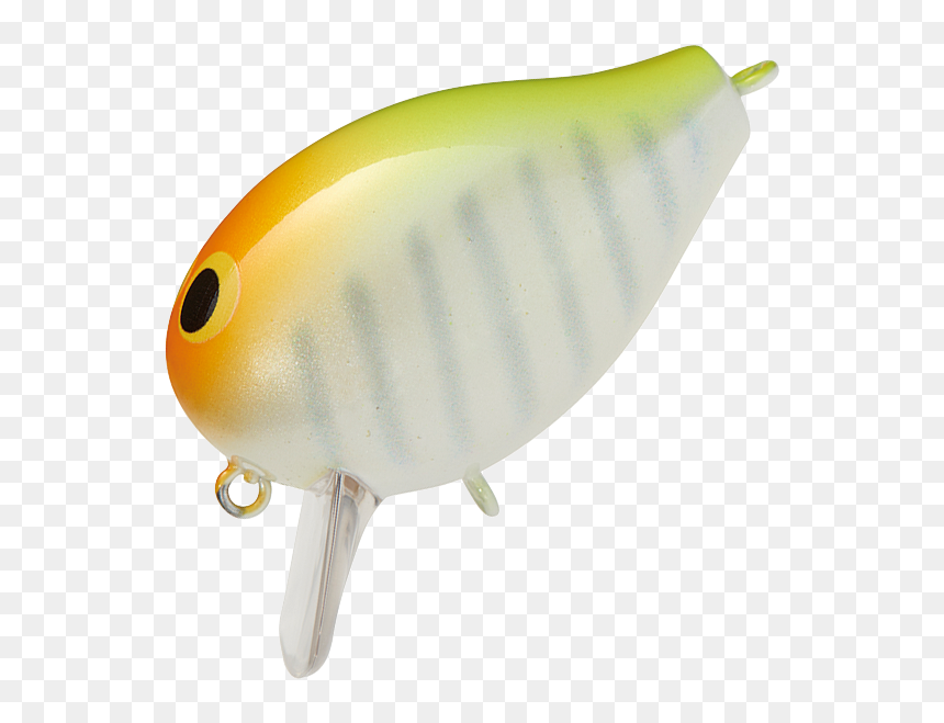 Pomacentridae, HD Png Download - fishing lure png