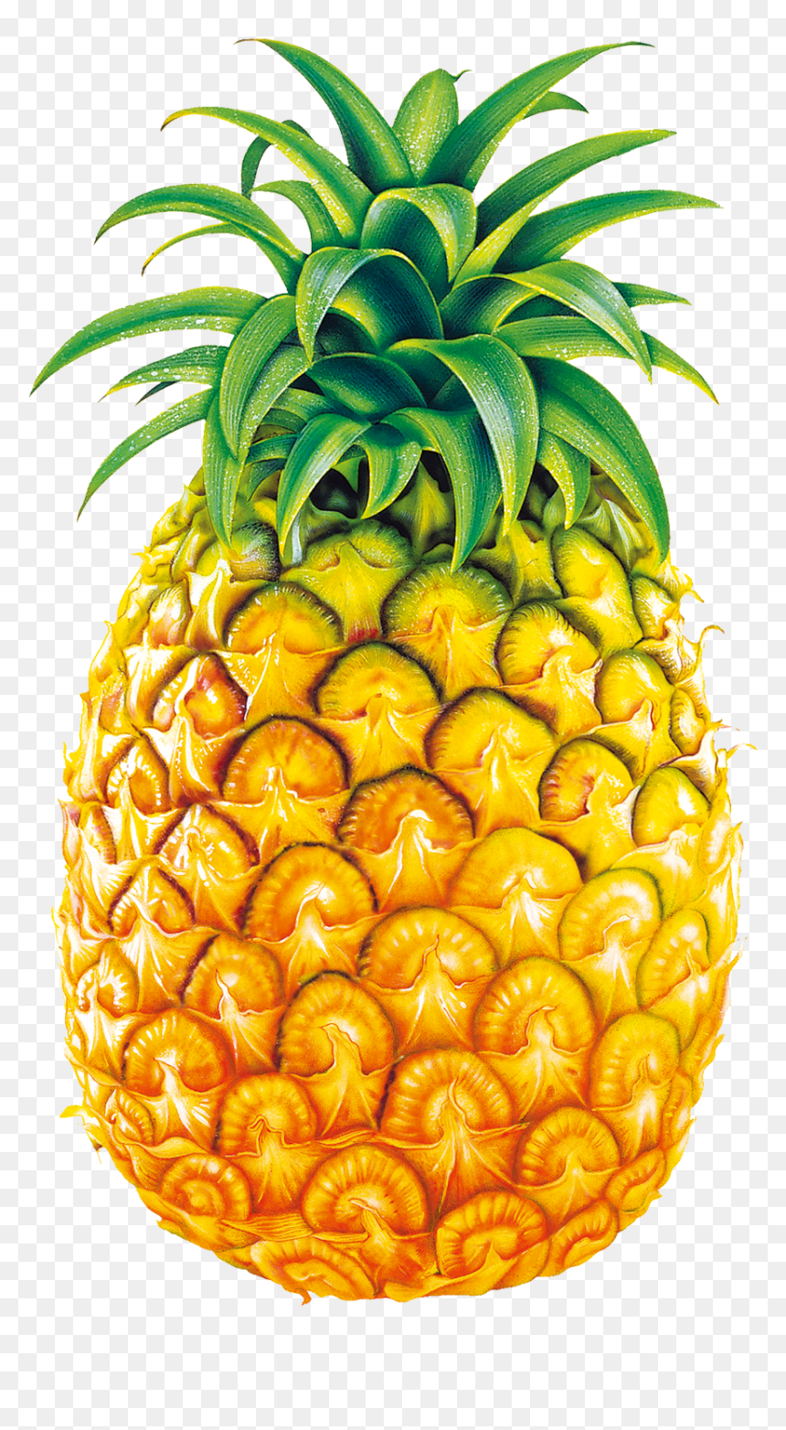 Svg Royalty Free Juice Fruit Bromelain Clip Art Big - Legend Of Pineapple Short Story, HD Png Download - black and white pineapple png
