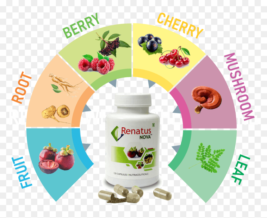 Renatus Nova Ingredients - Renatus Nova, HD Png Download - ingredients png