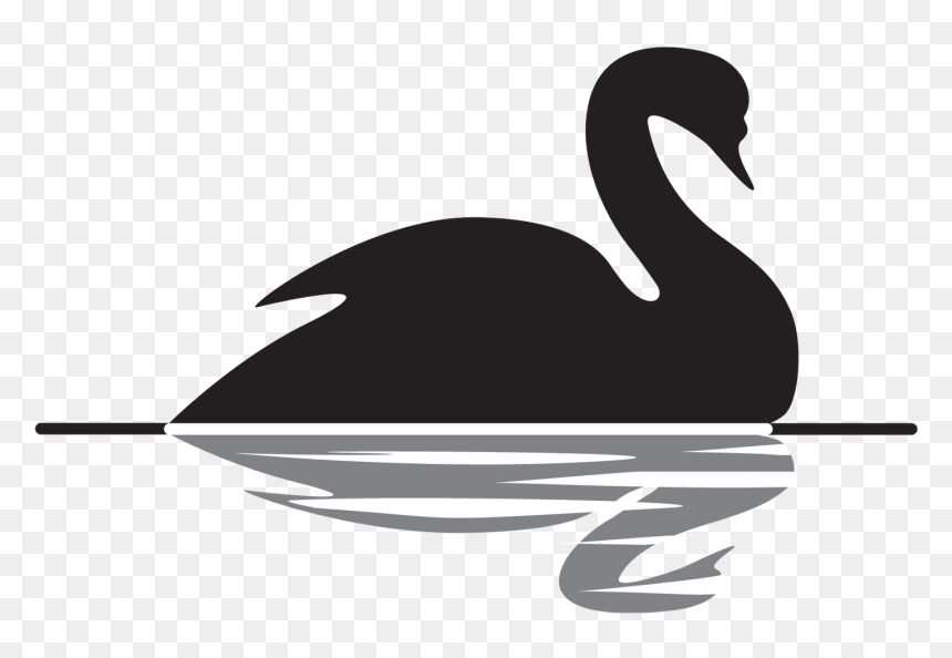 Black Swan Theory, HD Png Download - swan silhouette png