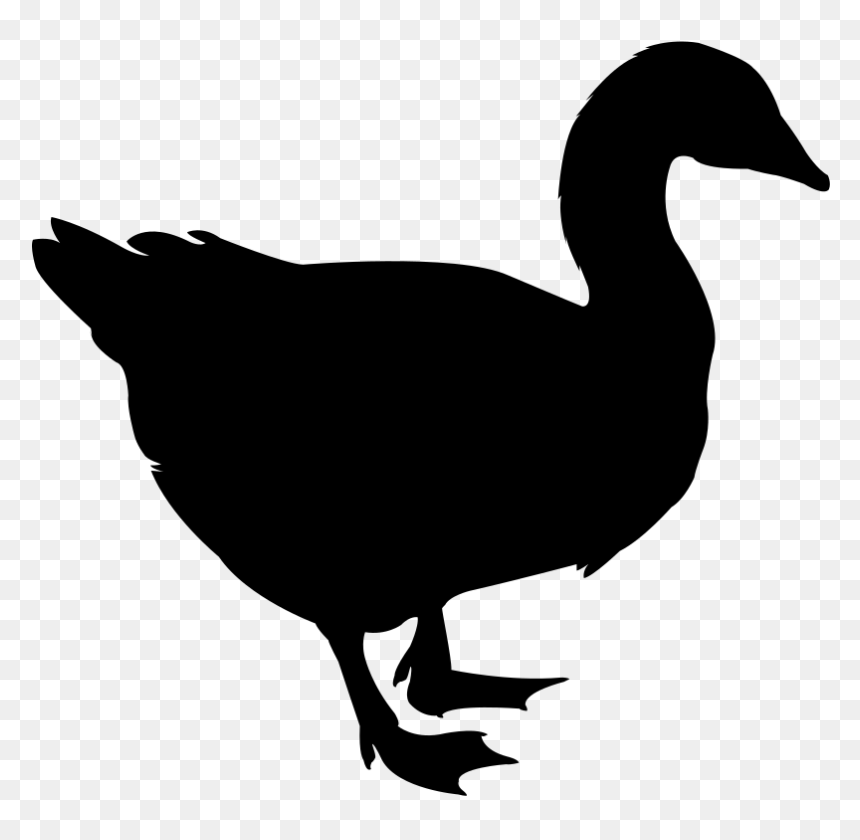 Gans Silhouette, HD Png Download - swan silhouette png