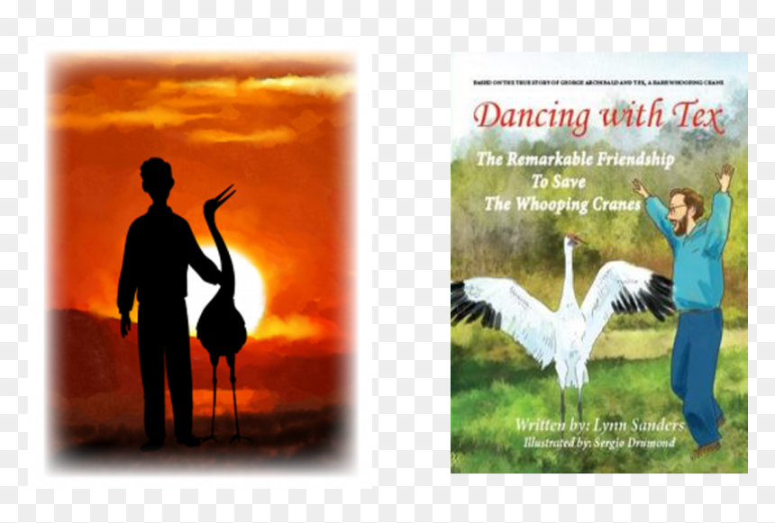 Whooping Crane Next, HD Png Download - swan silhouette png