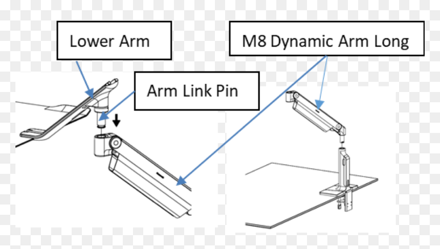 Diagram, HD Png Download - human scale png