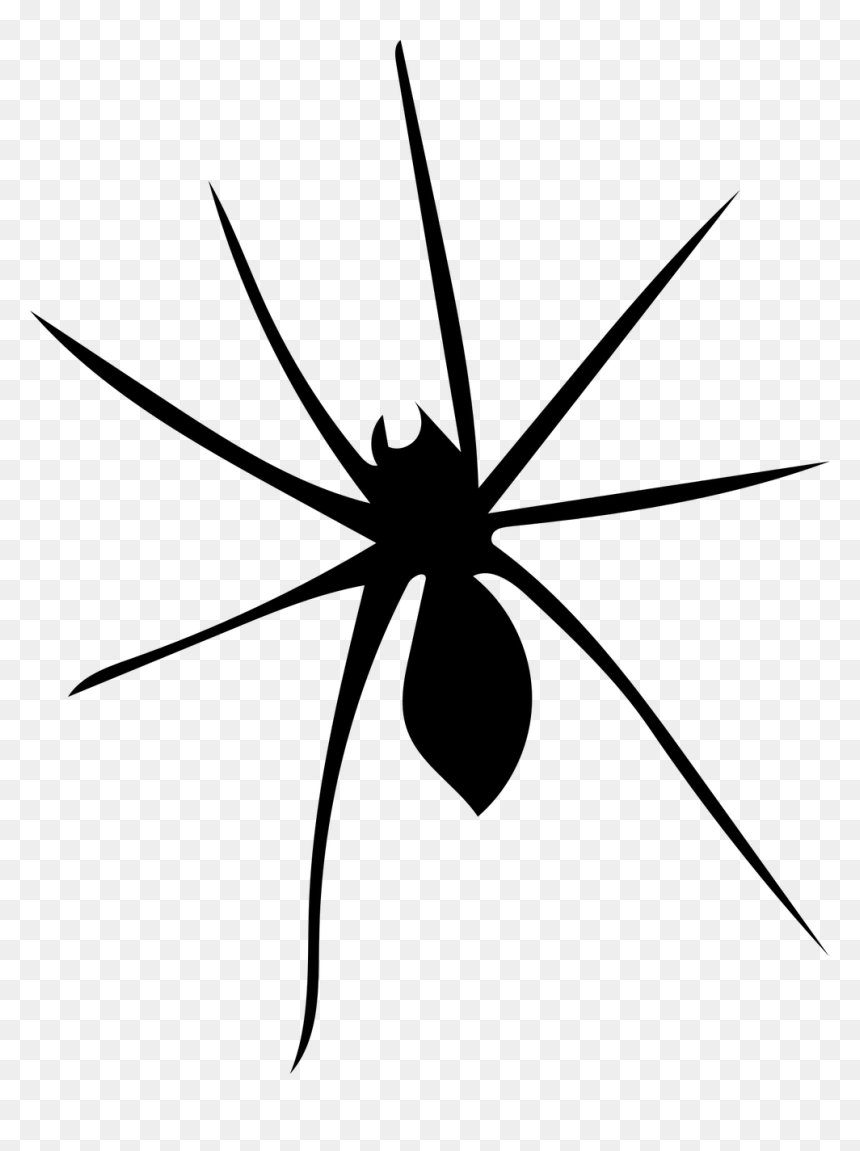 Spider Arachnophobia Arachnid Free Photo - Widow Spider, HD Png Download - spider silhouette png