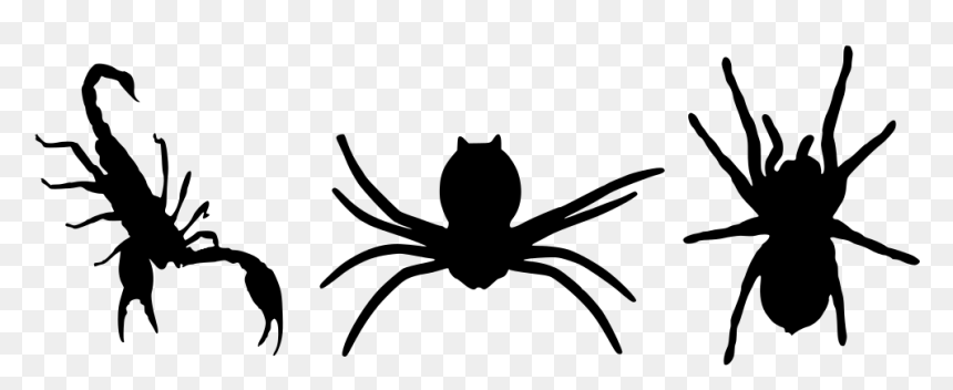 Scorpion, HD Png Download - spider silhouette png