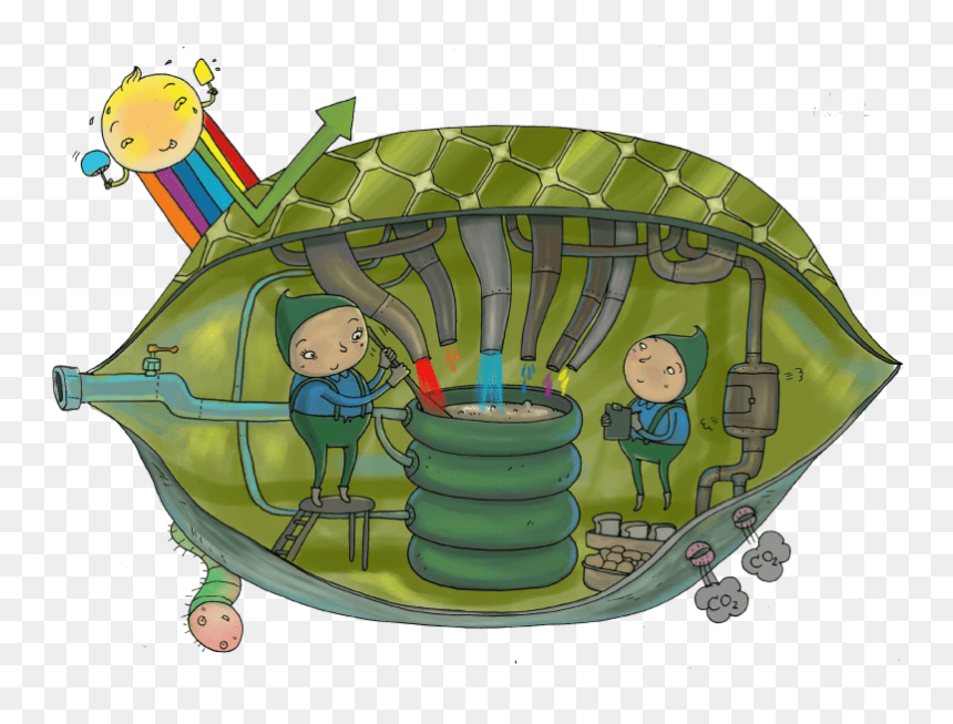 Cartoon, HD Png Download - chloroplast png