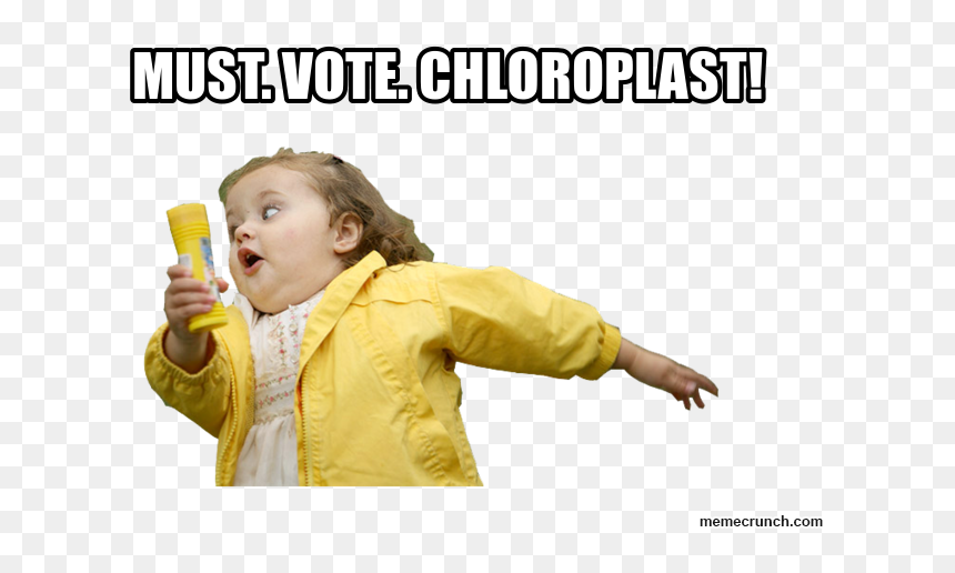 Emma Memes, HD Png Download - chloroplast png