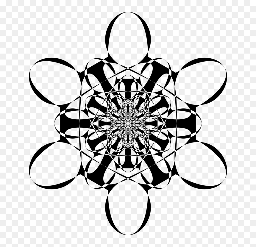 Line Art,flora,symmetry - Circle, HD Png Download - golden spiral png