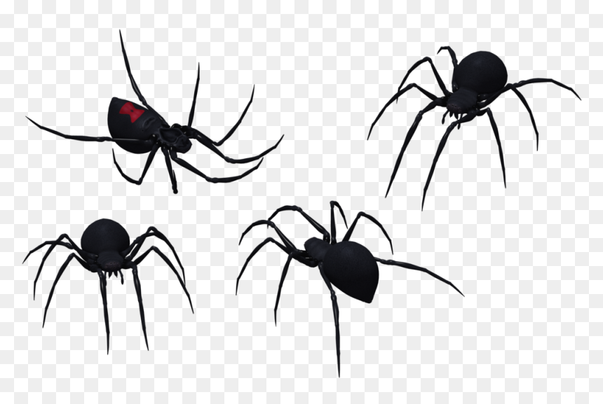 Spider Clipart Tribal - Black Widow Spider Pics Black And White, HD Png Download - spider clipart png