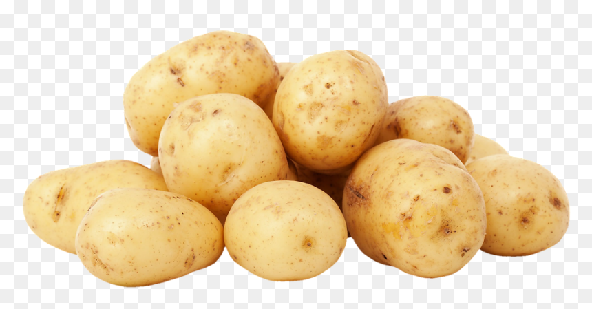 Potato Hd Png, Transparent Png - yuca png