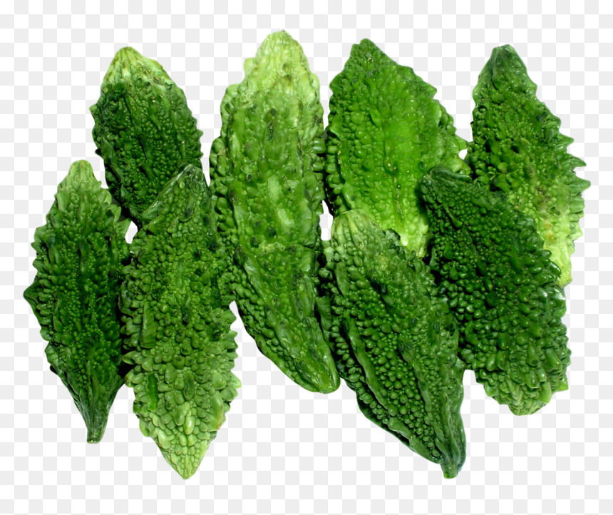 Bitter Gourd Png Image - Bitter Gourd Images Hd Png, Transparent Png - yuca png