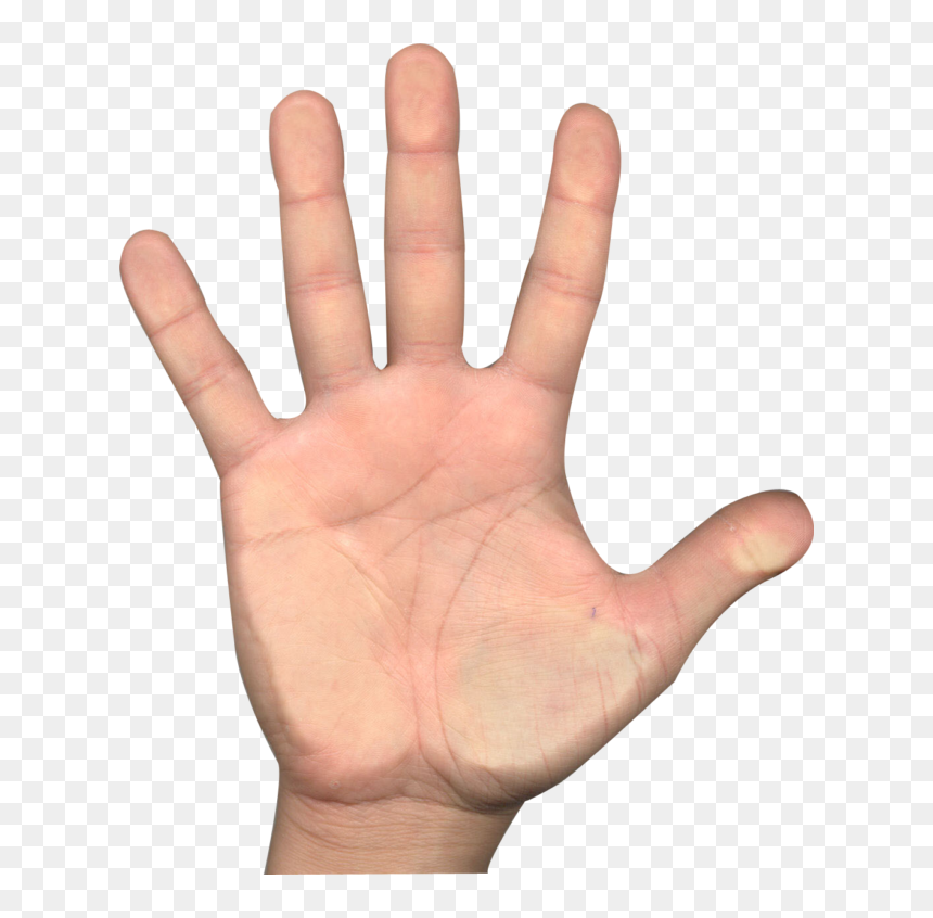 Mano Png - E - Gif De Una Mano, Transparent Png - manos orando png