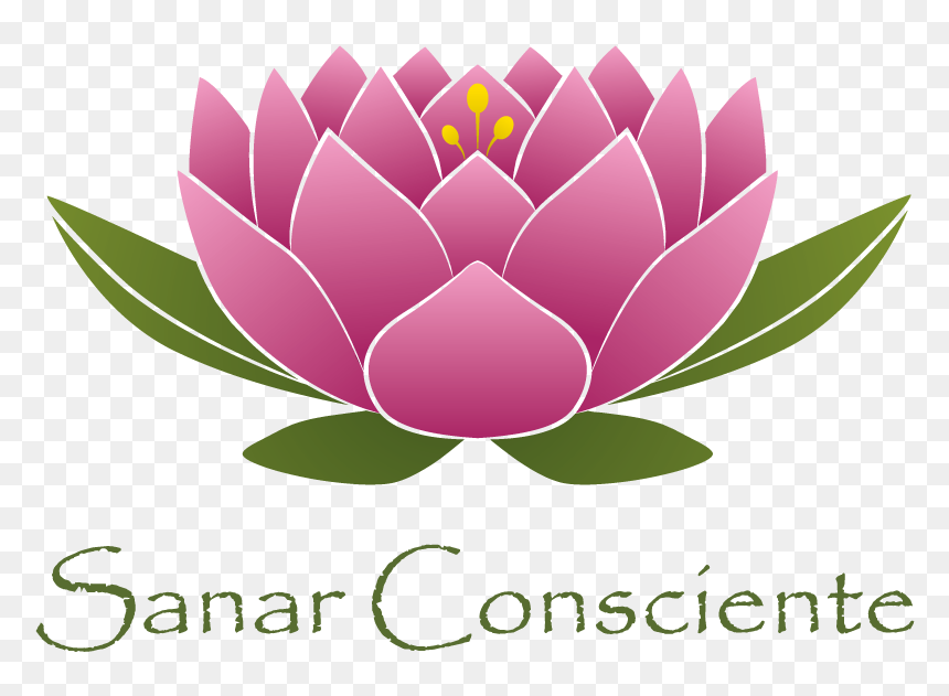 Sanar Consciente - Western Wall, HD Png Download - manos orando png