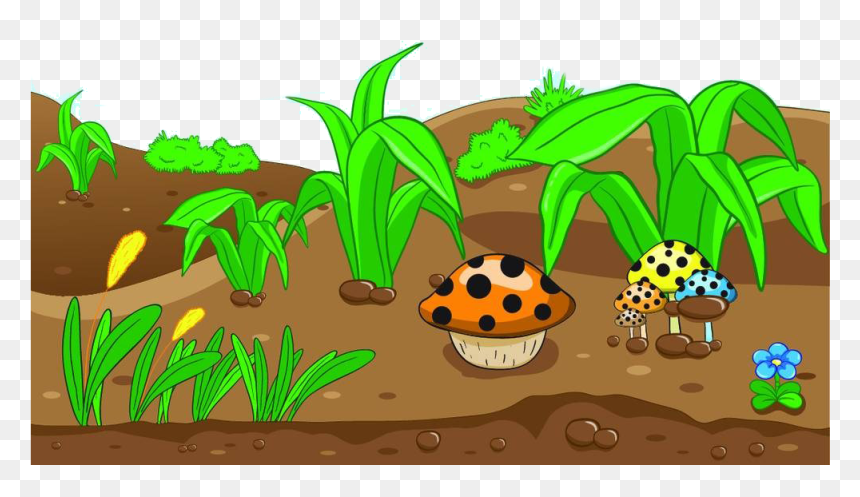 Royalty Free Clip Art Grass Mushrooms Transprent - Boden Clipart, HD Png Download - shrooms png