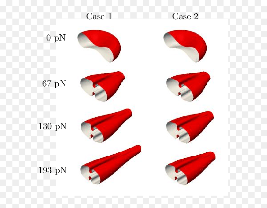 Coquelicot, HD Png Download - red blood cells png