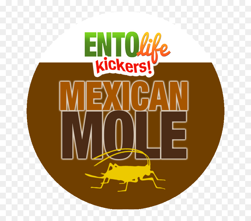 Clip Art, HD Png Download - crickets png