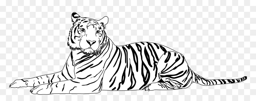 Cat , Png Download - Bengal Tiger, Transparent Png - cat png image